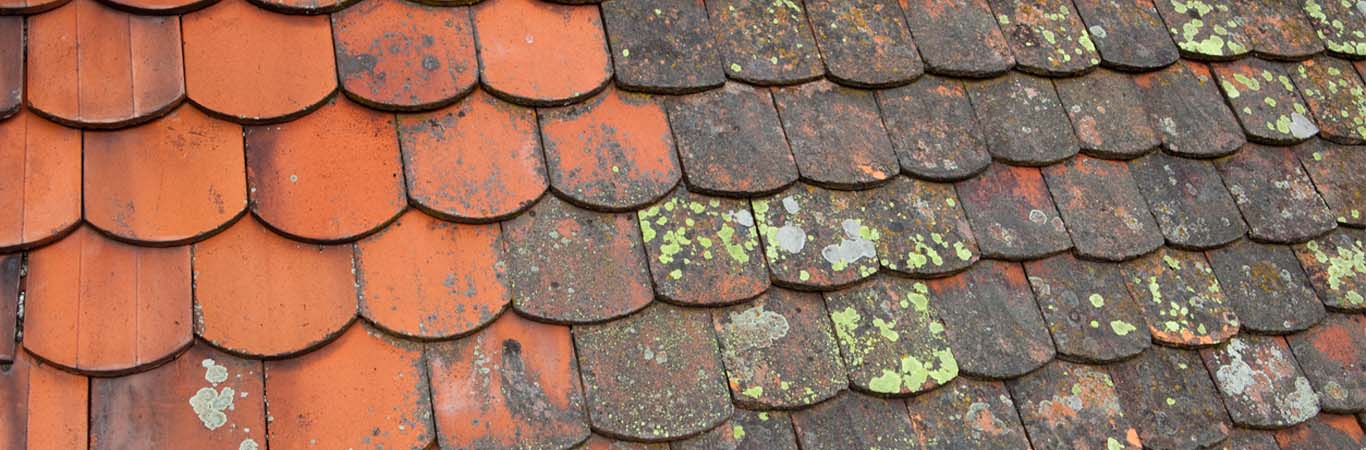Nettoyage de toiture : interdictions des produits anti-mousses et  anti-algues - Actualités - Canton Communes