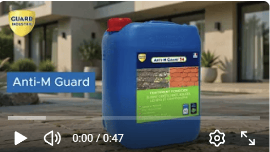 Anti-M Guard 24 démonstration Traitement Fongicide Pro